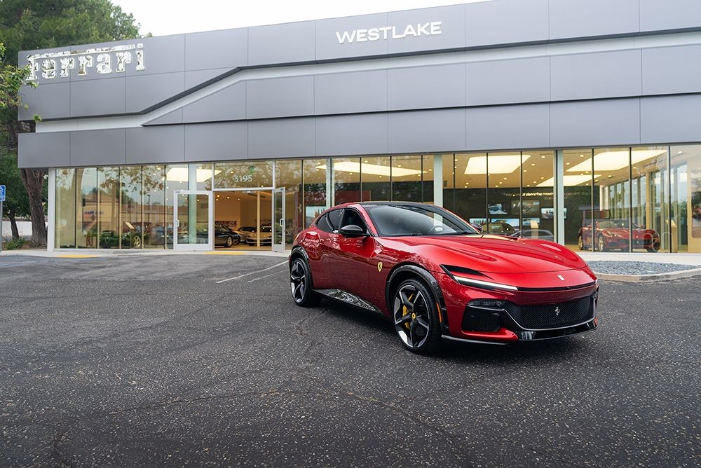 Purosangue (2) 1kpx.jpg